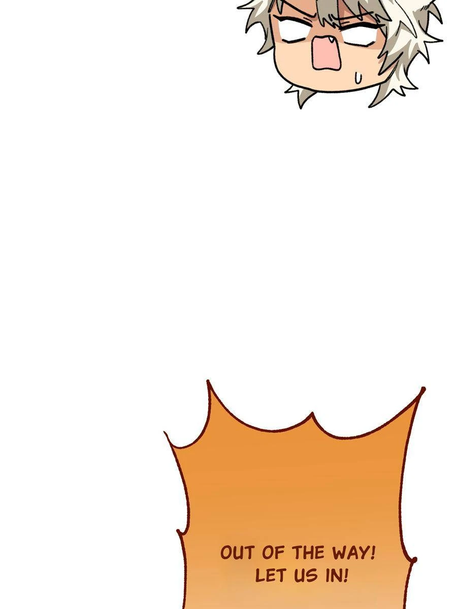 83954217 900 1200 37972